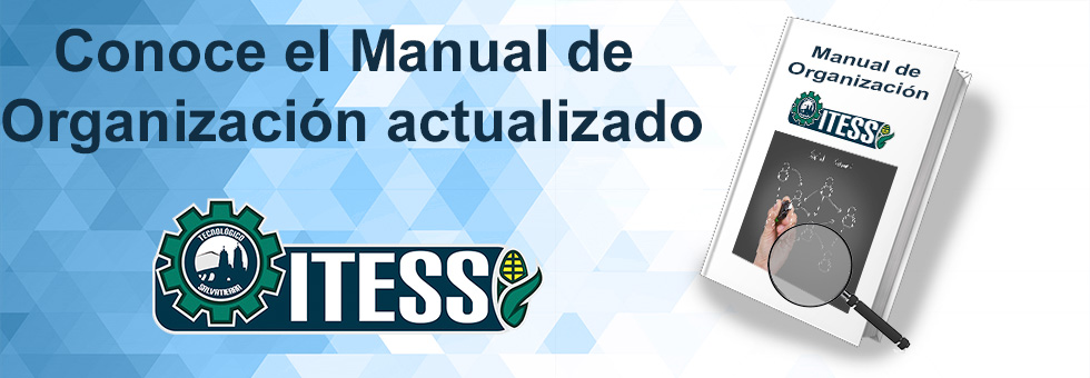 Manual de Organización actualizado